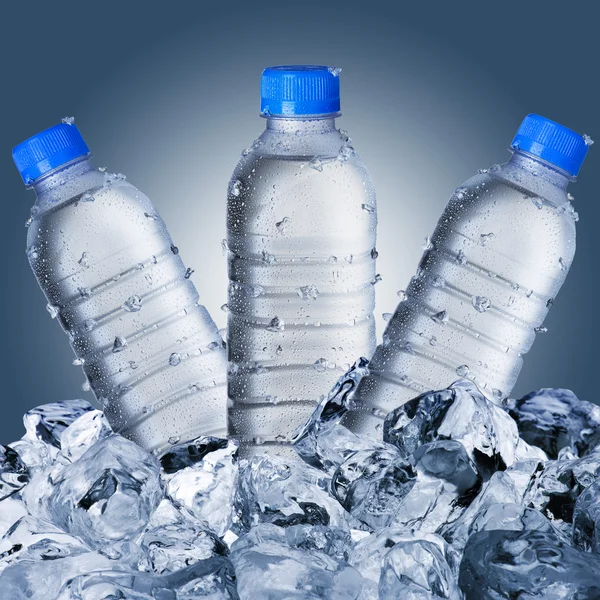 Botellas de agua fría en cubos de hielo — Foto de Stock