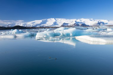 South Iceland'deki / daki Jokulsarlon buzul Gölü