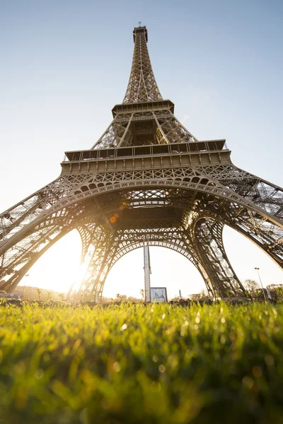 Torre Eiffel con erba in primo piano — Foto Stock