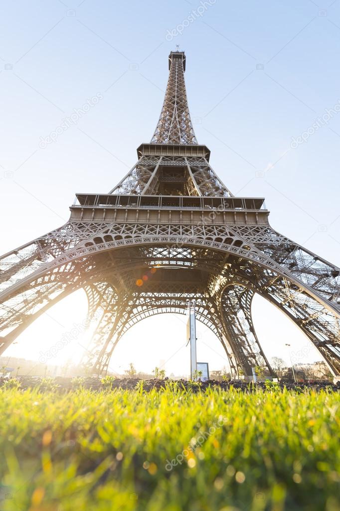 Eiffel Tower with grass in the foreground