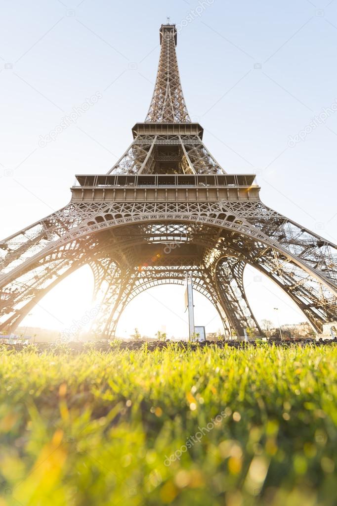 Eiffel Tower with grass in the foreground