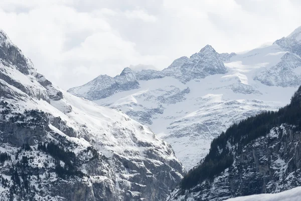 Karla kaplı dağ — Stok fotoğraf