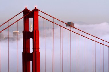 Golden gate Köprüsü sis