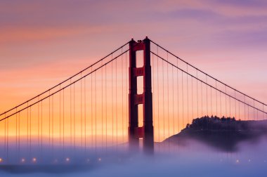 Golden gate Köprüsü sis