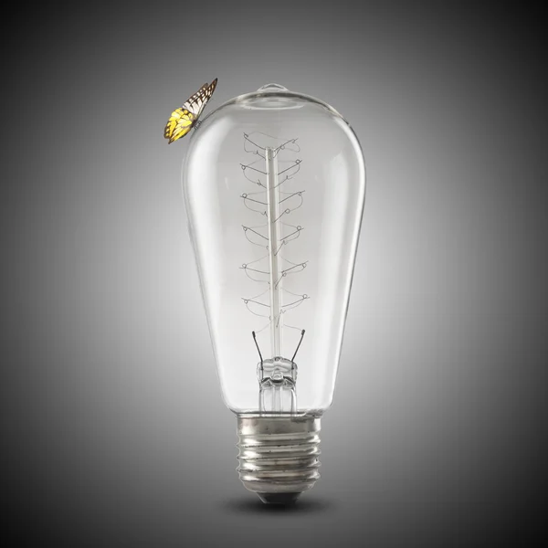 Light Bulb with butterfly — Stock Photo, Image