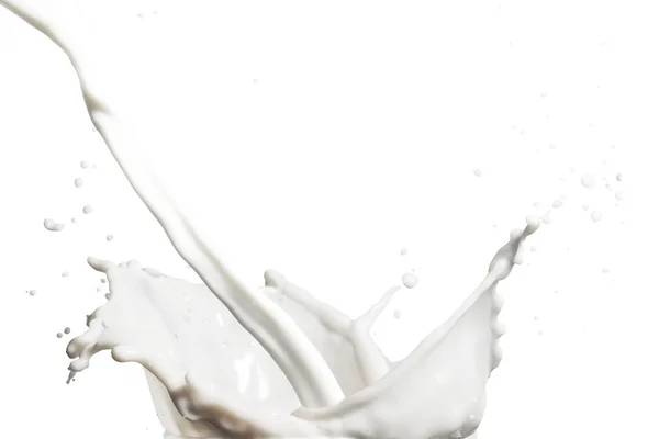 Fresh Milk Splash — Stock Photo, Image