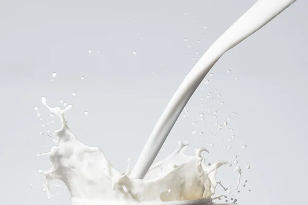 Fresh Milk Splash — Stock Photo, Image