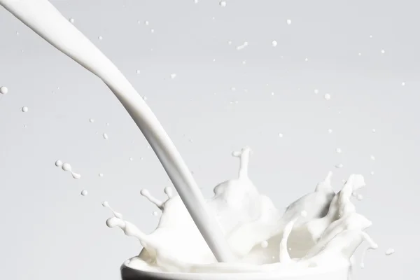 Fresh Milk Splash — Stock Photo, Image