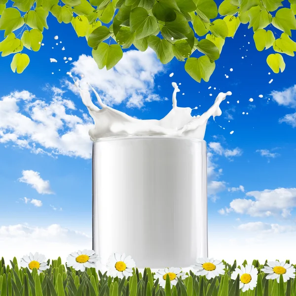 Milk Splash On Green Grass — Stockfoto