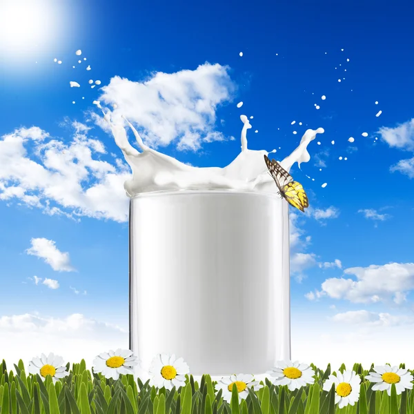 Milk Splash On Green Grass — Stock Photo, Image