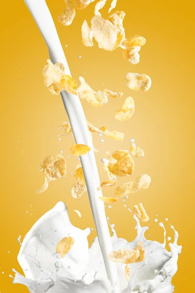 Кукурузные хлопья падают в молочный всплеск — стоковое фото