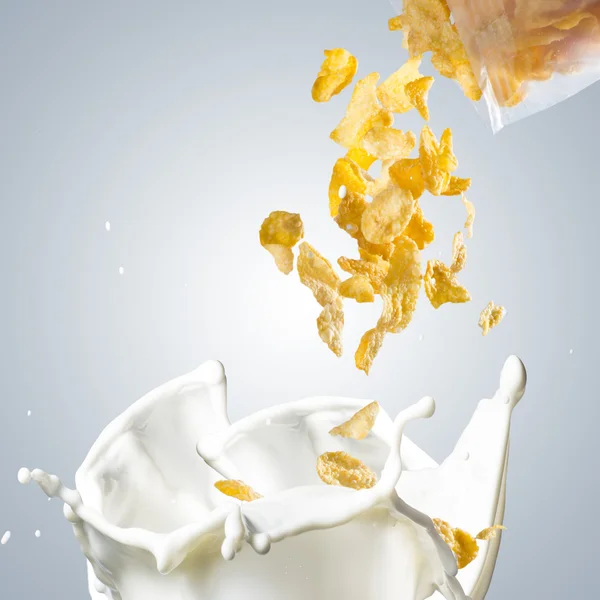 Corn Flakes Falling into Milk Splash — Zdjęcie stockowe