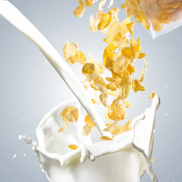 Corn Flakes Falling into Milk Splash — Zdjęcie stockowe