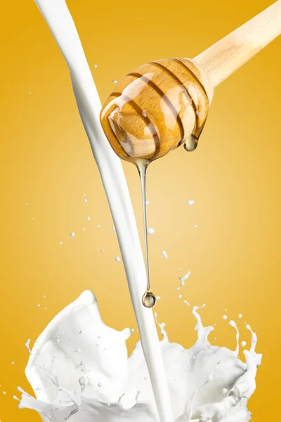 Gotejamento de mel e leite — Fotografia de Stock