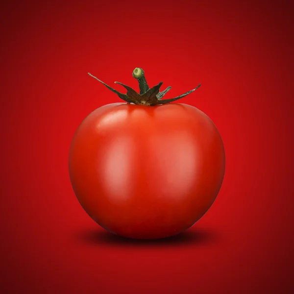 Pomodoro fresco su rosso — Foto Stock
