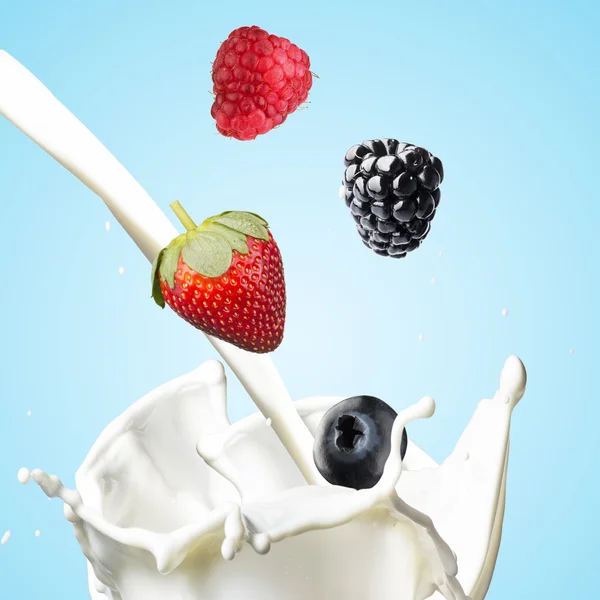 Various Berries Falling Into Milk — Stock Photo, Image