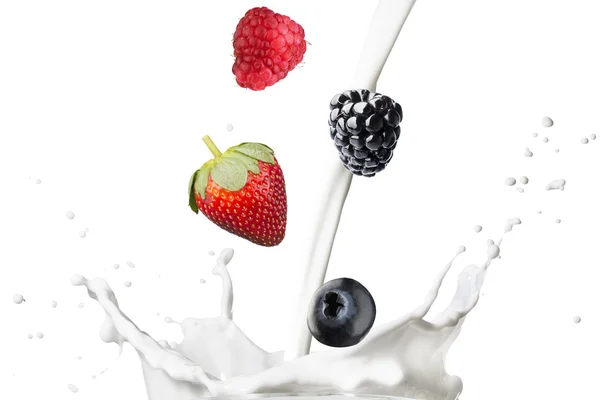 Разнообразные ягоды, падающие в молоко — стоковое фото