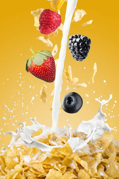 Various Berries Falling Into Milk — Stock Photo, Image