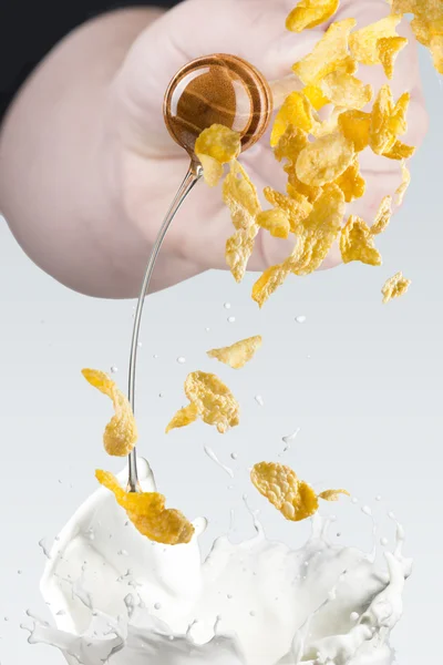 Goteo de miel y salpicadura de leche — Foto de Stock