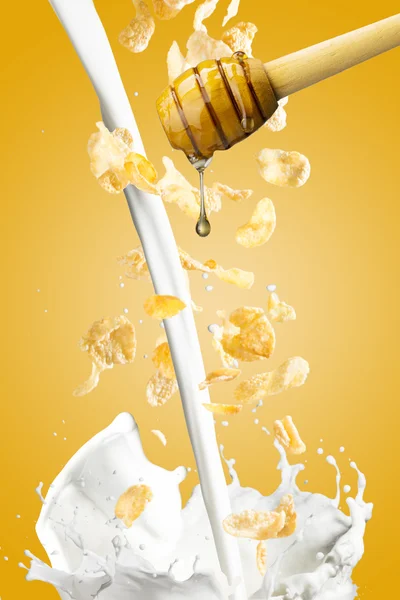 蜂蜜、 片和牛奶 — 图库照片