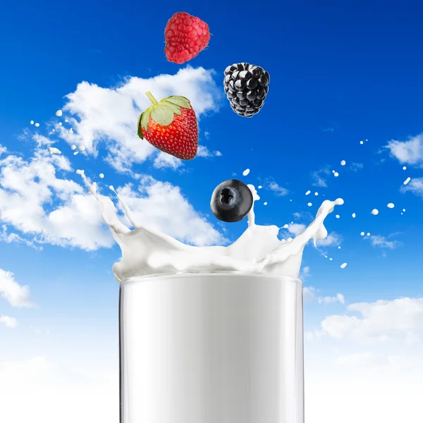 Çeşitli meyveler süt düşen — Stok fotoğraf