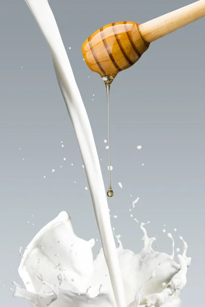 Honey Drip and Milk — Stock Photo, Image