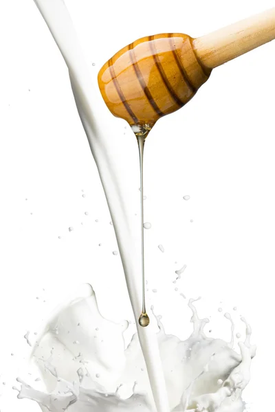 Honey Drip and Milk — Stock Photo, Image