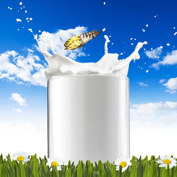 Weißer Milchspritzer — Stockfoto