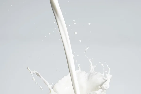 Milk Splash on gray — Stock Photo, Image