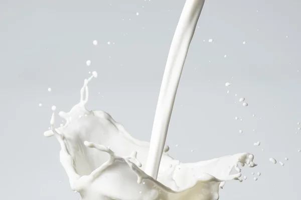 Spruzzi di latte su grigio — Foto Stock