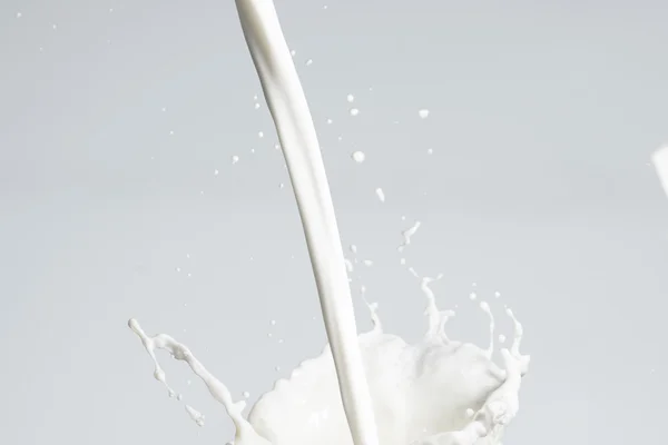 Milk Splash on gray — Stock Photo, Image