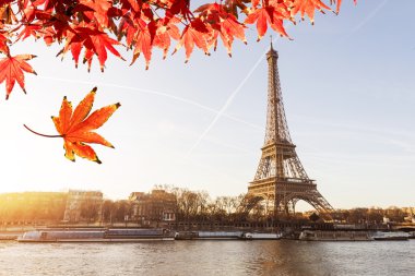 Paris 'teki Eyfel Kulesi