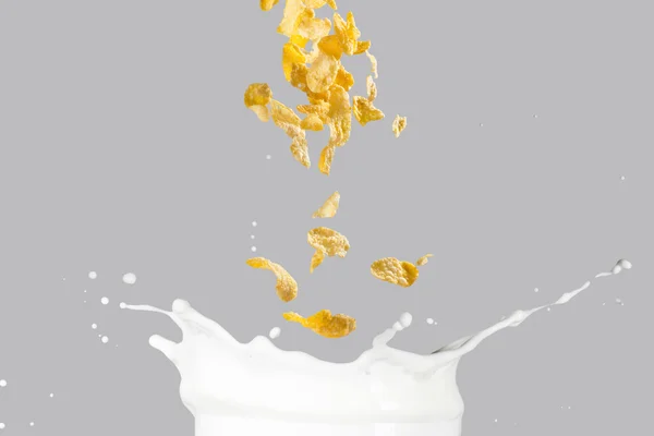 Cornflakes Falling Into Milk Splash — Stock Photo, Image