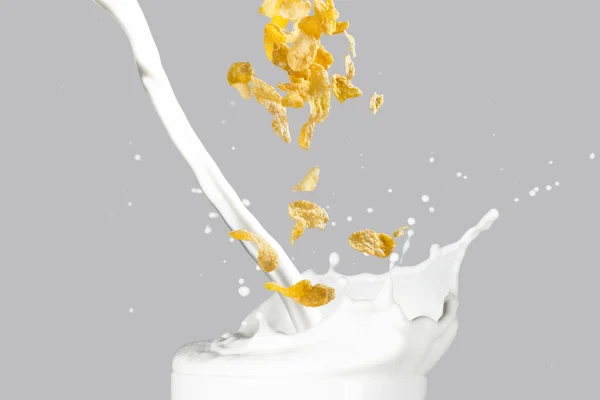 Cornflakes fallen in Milchspritzer — Stockfoto