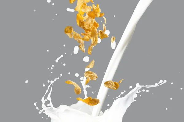 Кукурузные хлопья падают в молочный всплеск — стоковое фото