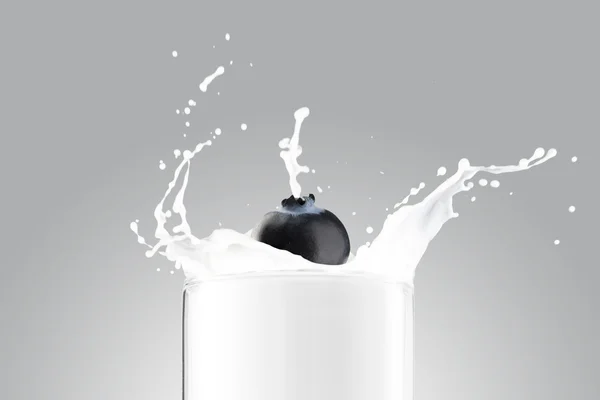 Blueberry vallen op melk Splash — Stockfoto