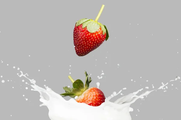 Φράουλες αφορήσει Splash γάλα — Φωτογραφία Αρχείου