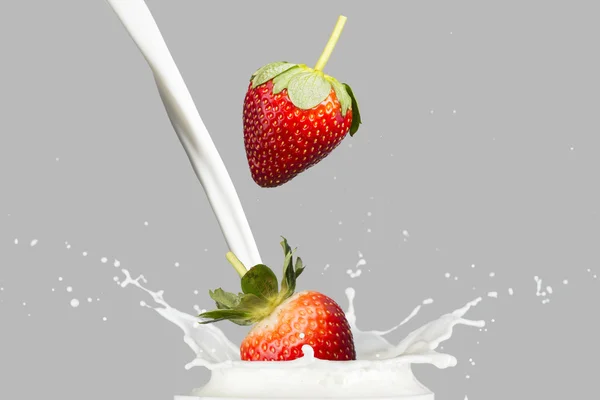 Fresas cayendo en el chorro de leche —  Fotos de Stock