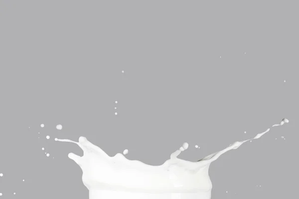 Milk Splashing on gray — Stock Photo, Image