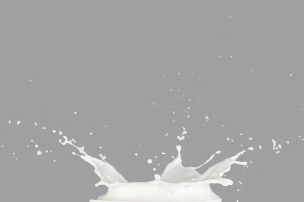 Milk Splashing on gray — Stock Photo, Image