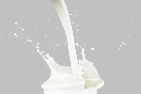 Milk Splashing on gray — Stock Photo, Image