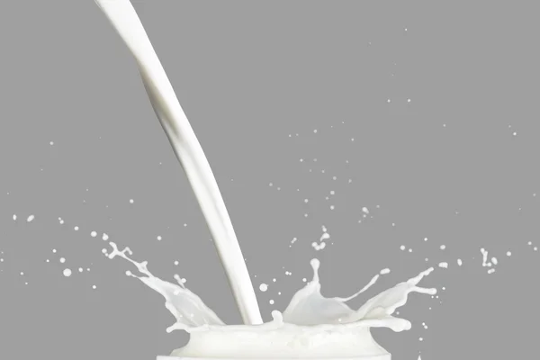 Milk Splashing on gray — Stock Photo, Image