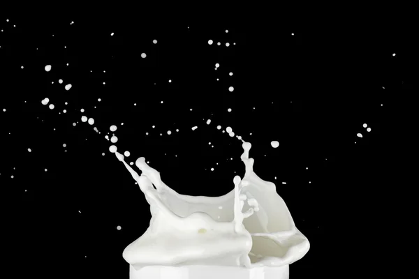 Salpicaduras de leche en negro — Foto de Stock