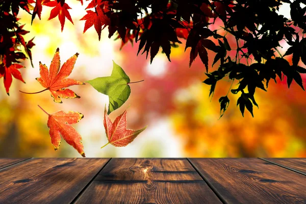 Maple leaves falling onto table — Stock Photo, Image