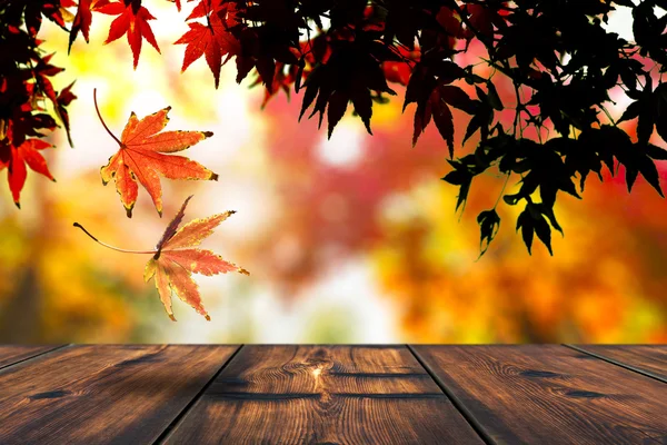 Red Autumn Leaves — Stock Photo, Image