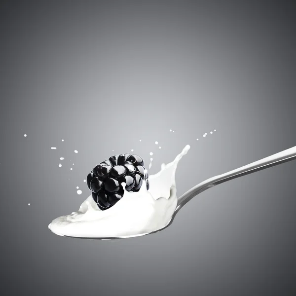 Blackberry cayendo en la leche — Foto de Stock