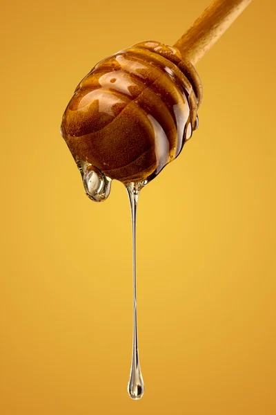 Honey Drip on white — Stock Photo, Image