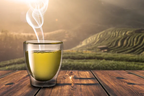 Hot green tea — Stock Photo, Image