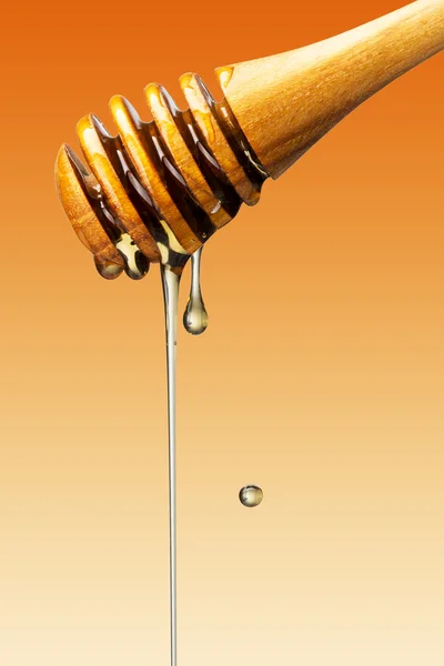 Honey Drip on white — Stock Photo, Image