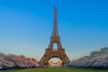 Paris 'te bahar aylarında Eyfel Kulesi.